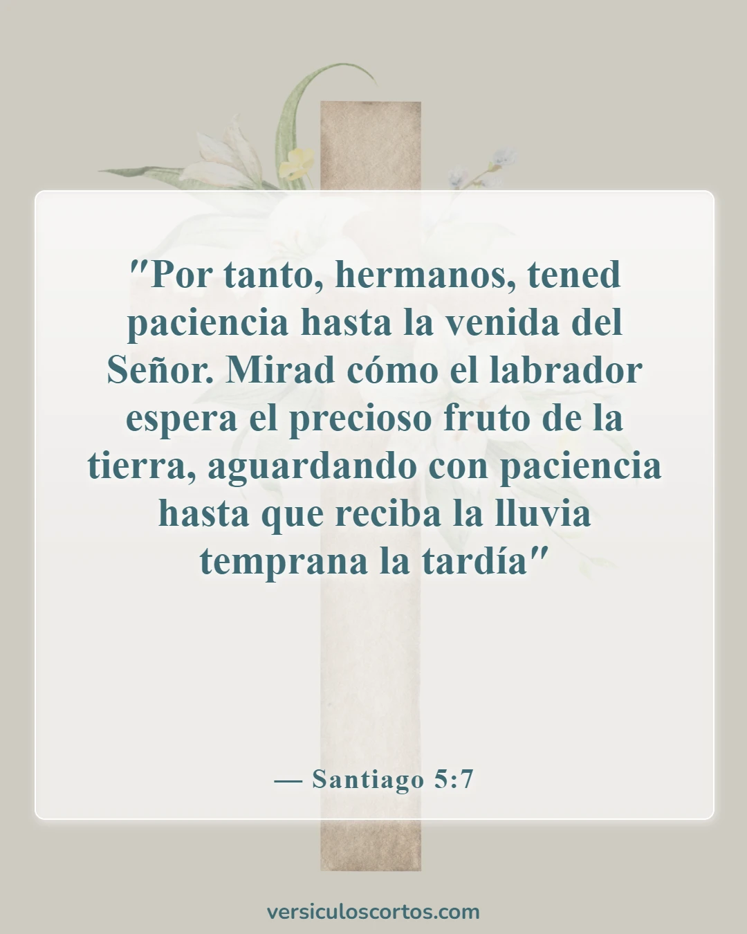 Versículos de la Biblia sobre dar malos frutos (Santiago 5:7)