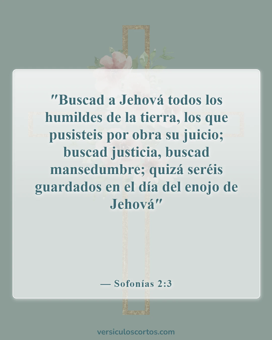Versículos de la Biblia sobre encontrar a Dios (Sofonías 2:3)