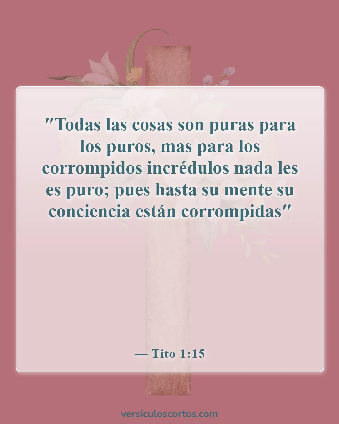 Versículos de la Biblia sobre salir con un no creyente (Tito 1:15)
