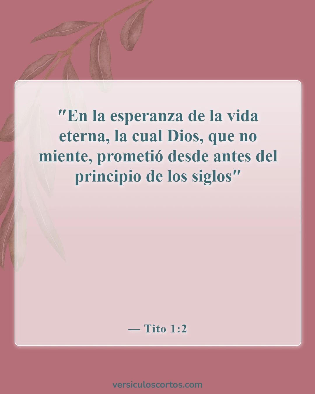 Versículos de la Biblia sobre la vida eterna (Tito 1:2)