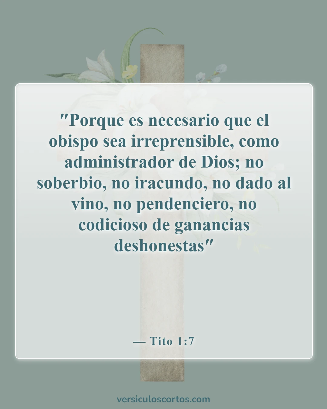 Versículos de la Biblia sobre líderes en la Biblia (Tito 1:7)