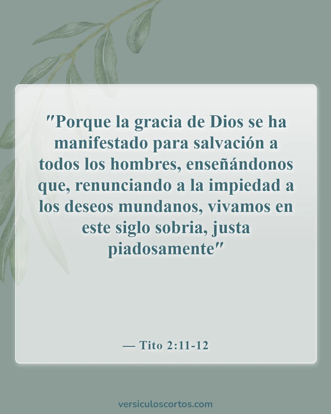 Versículos de la Biblia sobre controlar nuestras emociones (Tito 2:11-12)