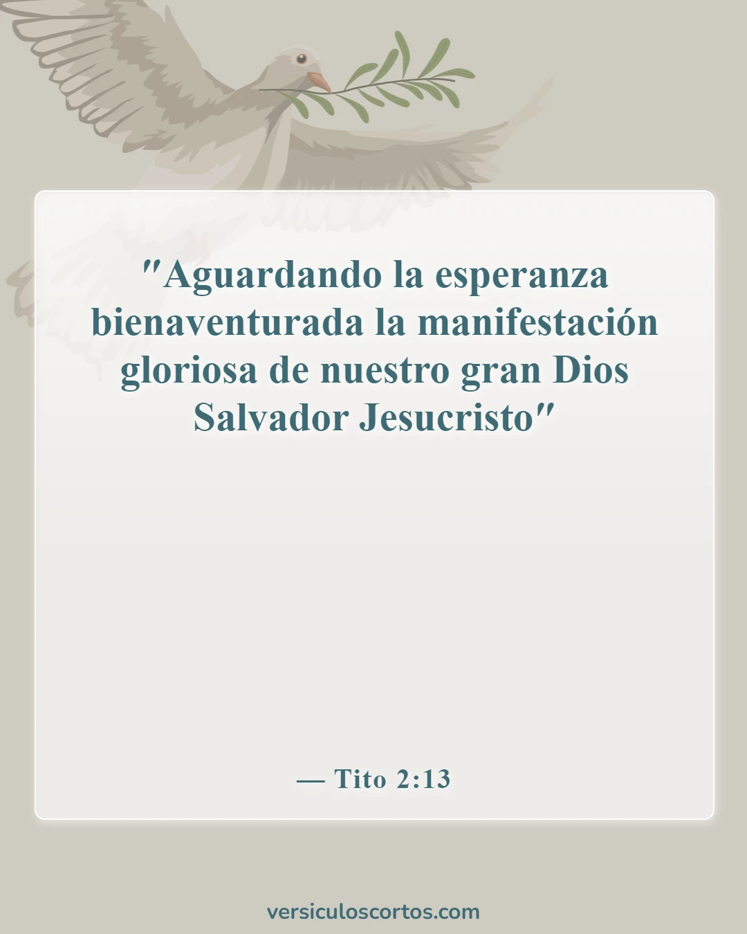Versículos de la Biblia sobre Jesús como imagen de Dios (Tito 2:13)