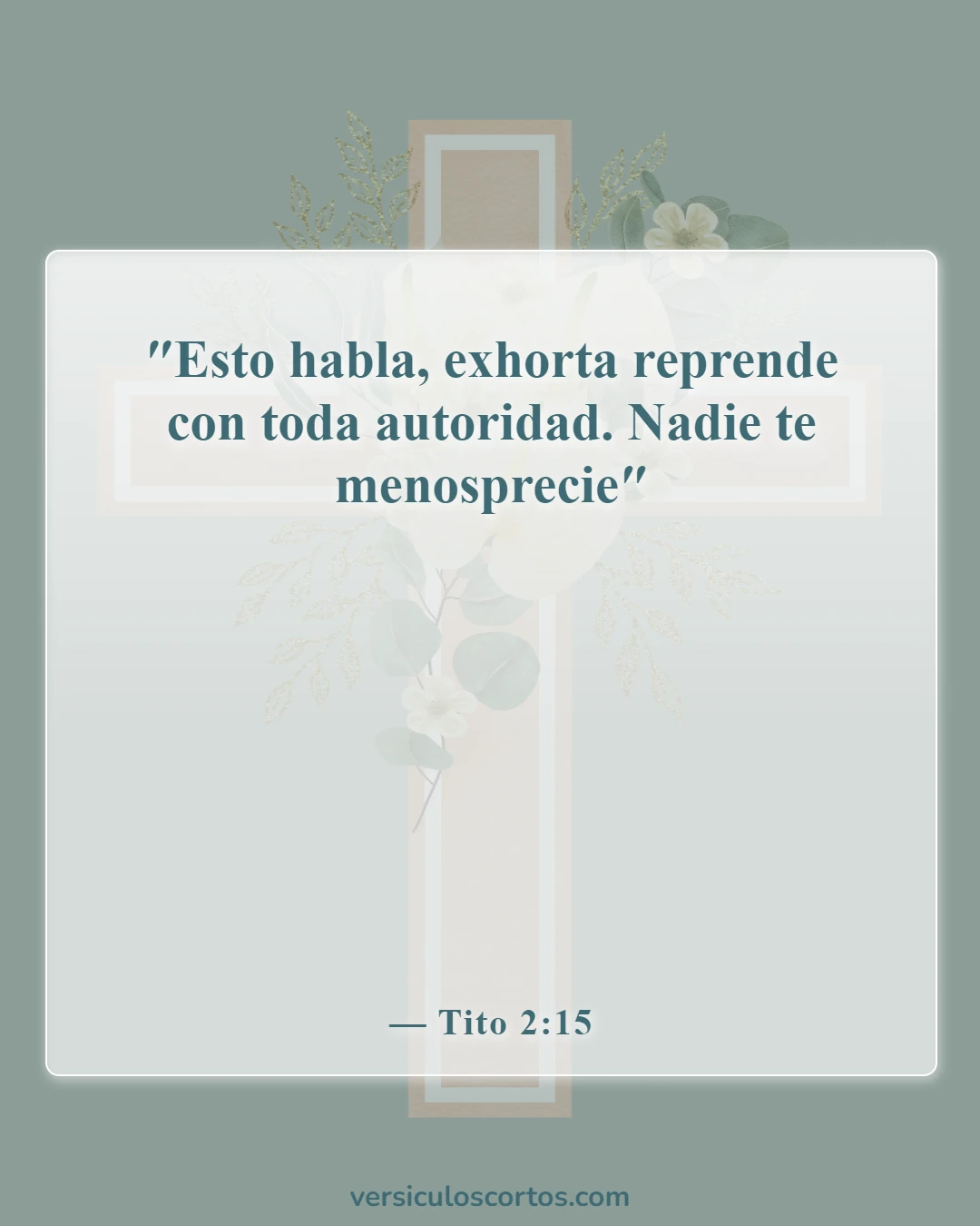 Versículos de la Biblia sobre el orden en la iglesia (Tito 2:15)