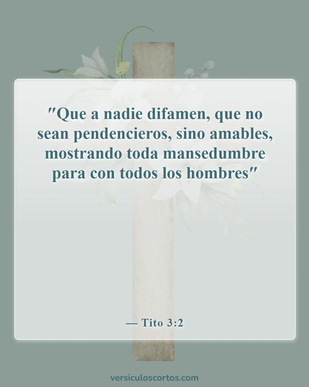 Versículos de la Biblia sobre la compasión hacia los demás (Tito 3:2)