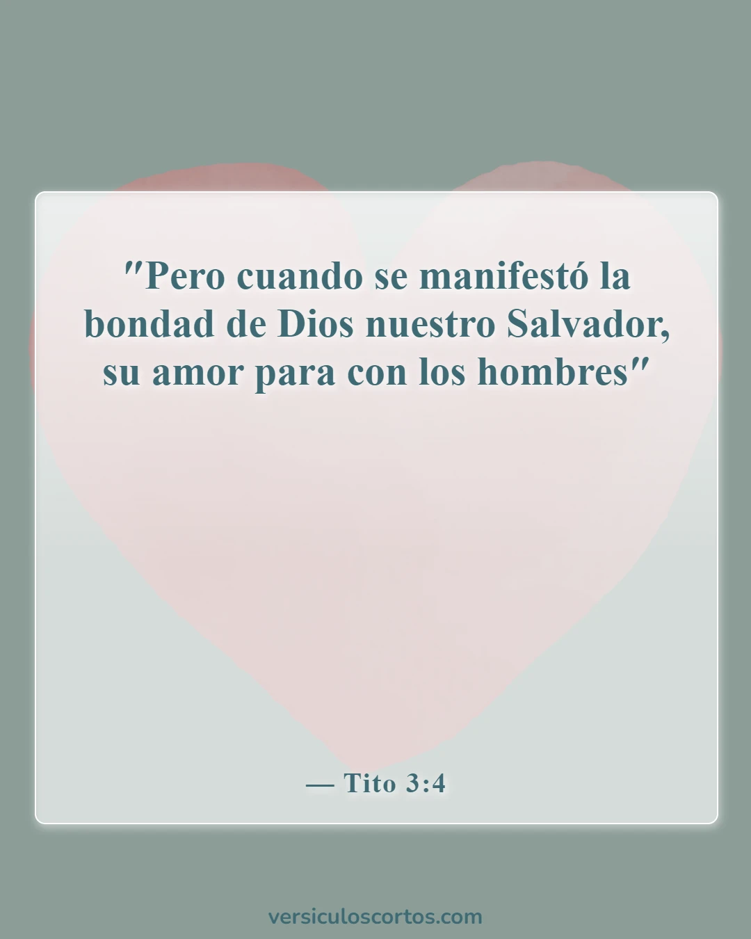 Versículos de la Biblia sobre perdonarse unos a otros (Tito 3:4)