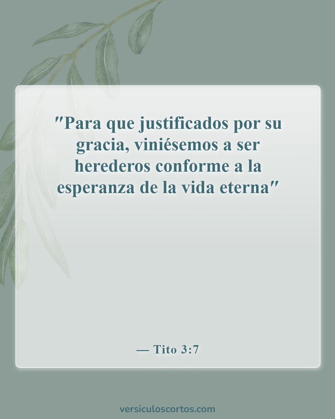 Versículos bíblicos sobre encontrar esperanza (Tito 3:7)